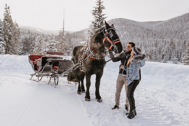 Horse-Drawn Sleigh Rides